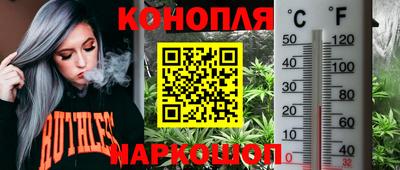 мяу мяу мука Будённовск