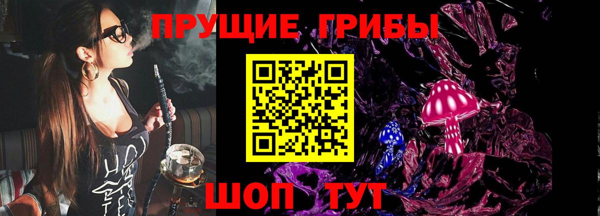 Псилоцибиновые грибы MAGIC MUSHROOMS  Псилоцибиновые грибы MAGIC MUSHROOMS  Вход с VPN  Прокопьевск 